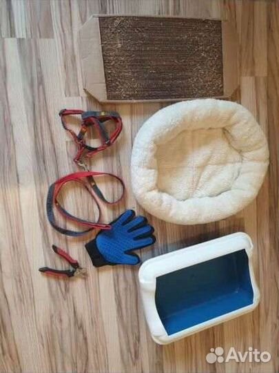 Кошачьи принадлежности б у