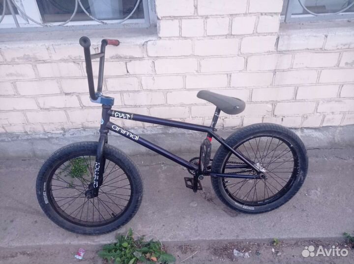 Bmx- Торг