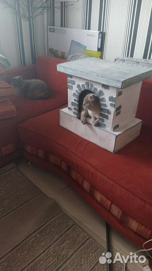 Домик для котика