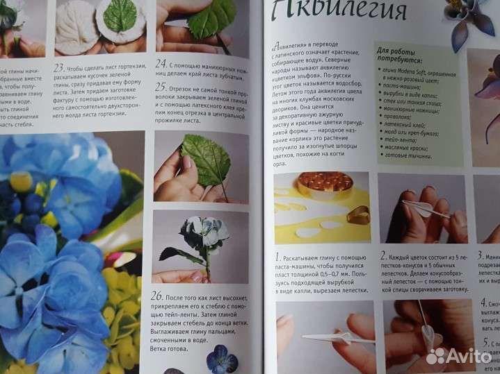 Книга Полимерная глина