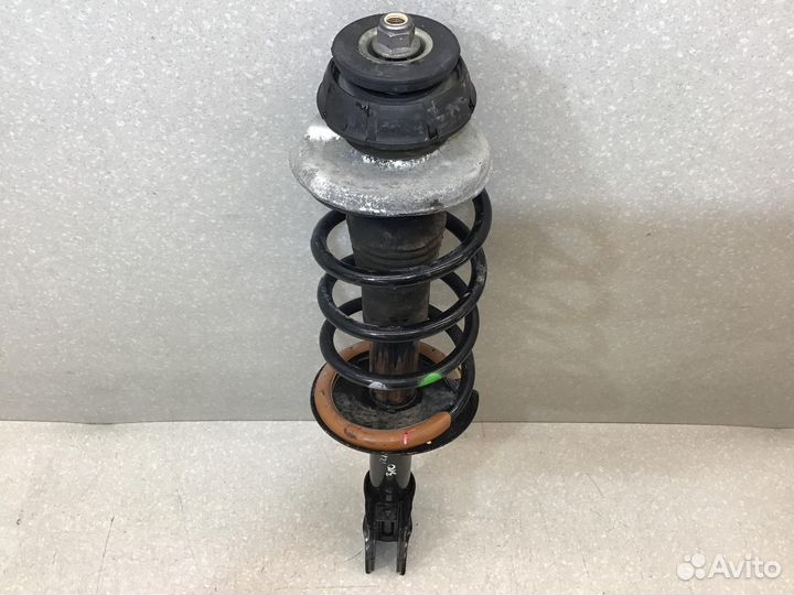 Амортизатор передний правый Nissan Terrano III (D1