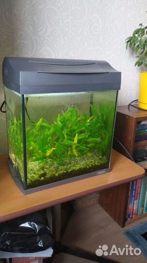 Аквариум tetra 25 литров