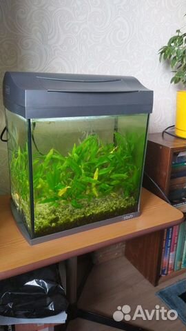 Аквариум tetra 25 литров