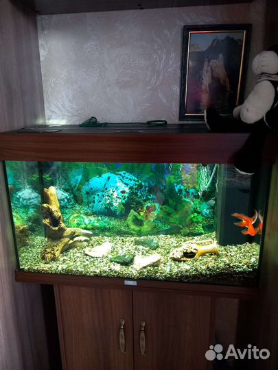 Аквариум Ювель (Германия) 125л