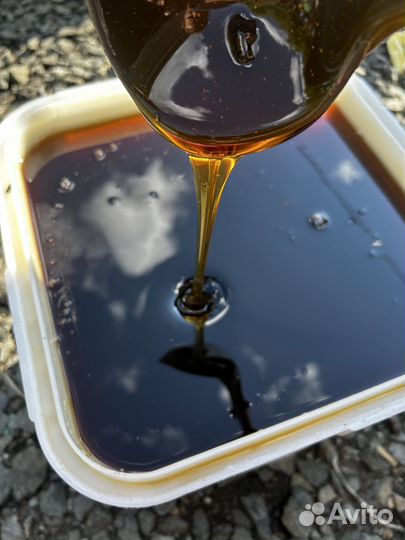 Гречка оптом мед 2024