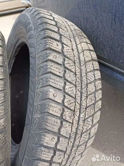 Matador MP 50 Sibir Ice 185/65 R15