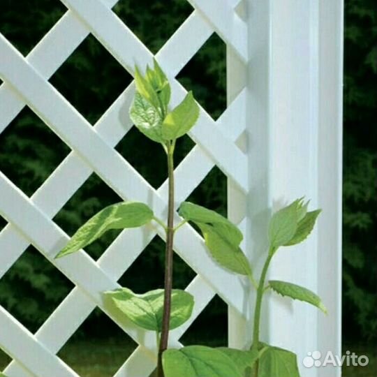 Шпалера декоративная (дерево)