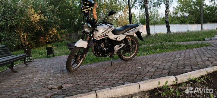 Racer magnum 250 c5b