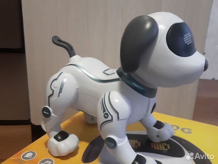 Собака Stunt dog