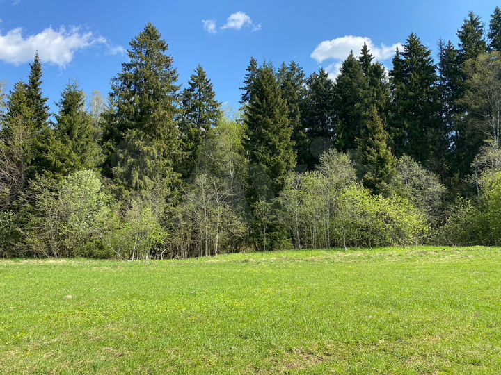 Участок 8 сот. (ИЖС)