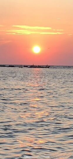 Участок 11,5 га (СНТ, ДНП)