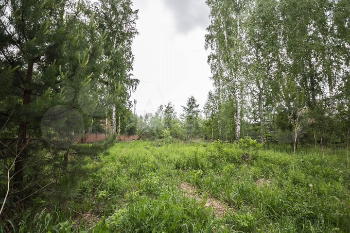 Участок 23,9 сот. (ИЖС)