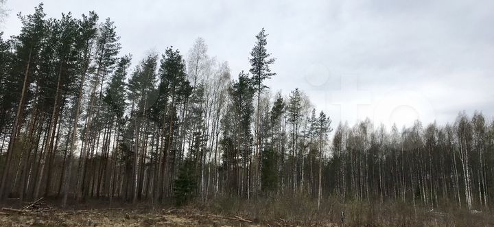 Участок 30 сот. (ИЖС)