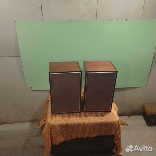 Акустическая система 10мас-1М