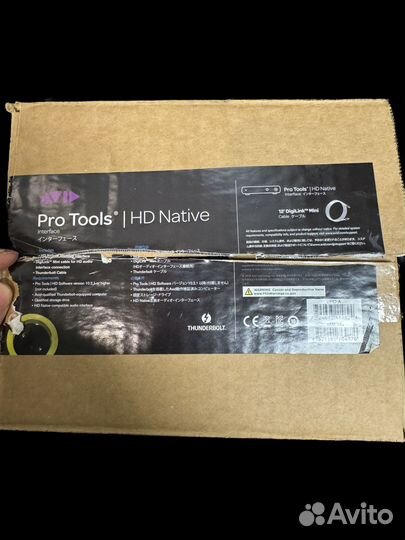 Avid Pro Tools HD Native Thunderbolt Digidesign