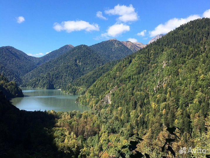 Красота Абхазии с нашими уникальными экскурсиями