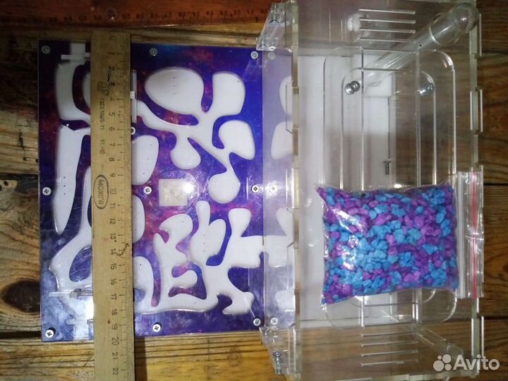 Формикарий (муравьиная ферма)