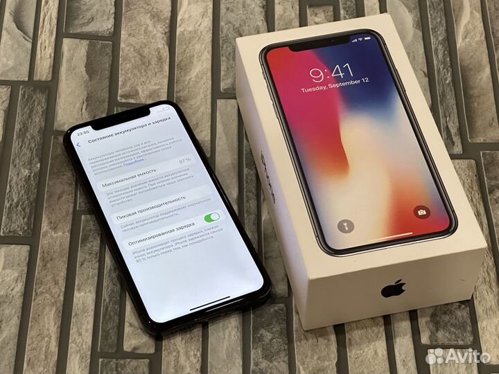 iPhone X, 256 ГБ