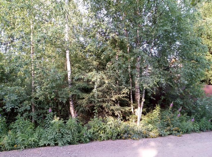 Участок 7,5 сот. (СНТ, ДНП)