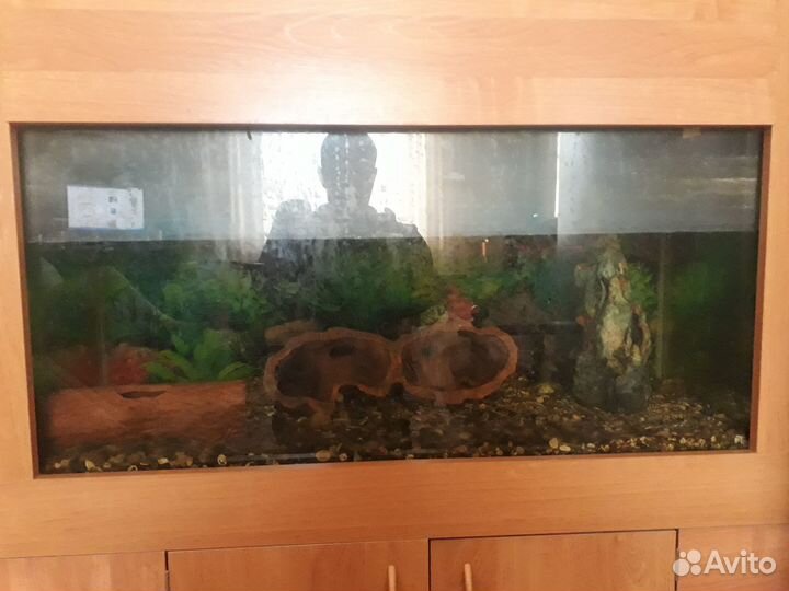 Аквариум
