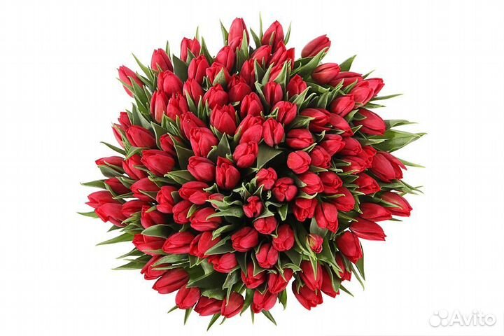 Букет из 101 тюльпана