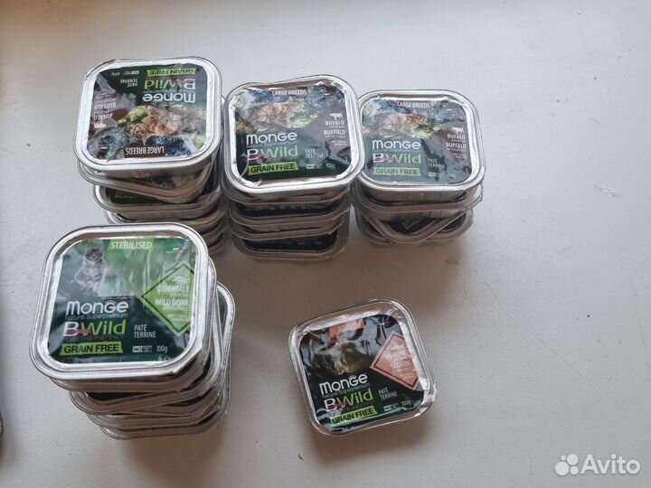 Monge bwild буйвол кабан лосось