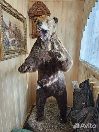 Чучело медведя имитация