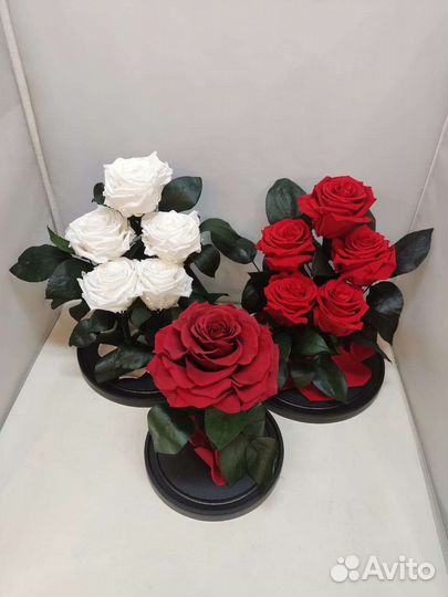 Роза в колбе оптом