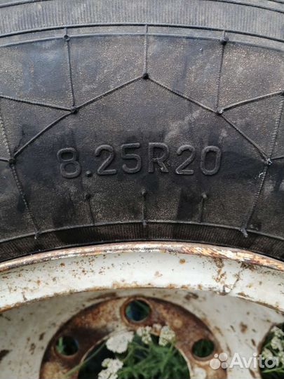 Колеса на газ 53,3307,3309