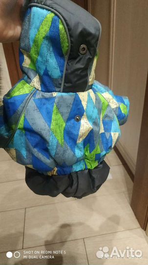 Комбинезон для маленькой собаки зима