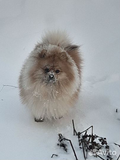 Молодой парень ищет девочку для знакомства