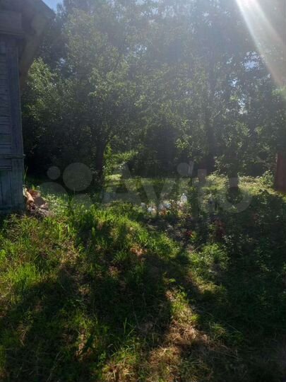 Дом 64 м² на участке 22 сот.