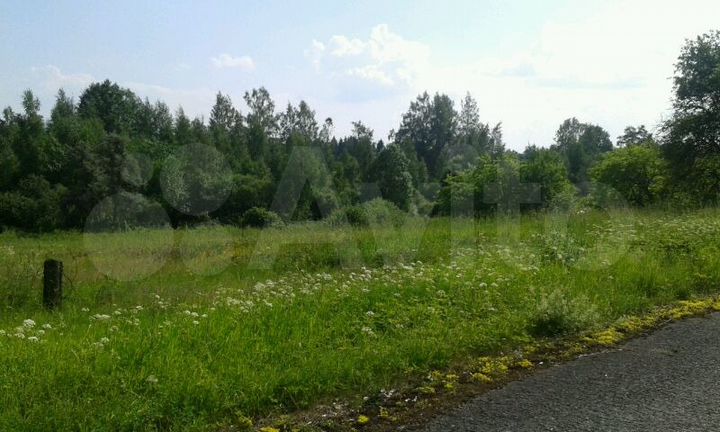 Участок 25 сот. (СНТ, ДНП)