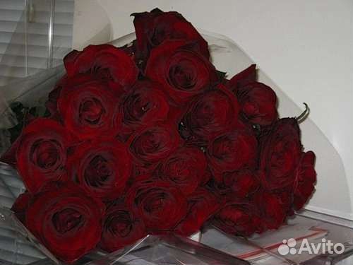 Цветы розы букет