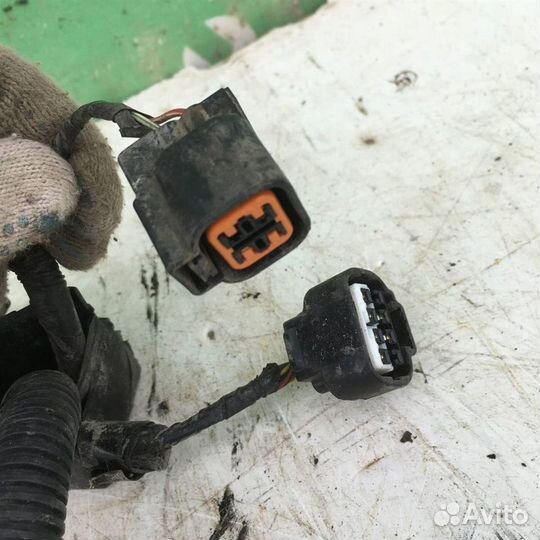 Проводка (коса) Митсубиси Галант 8