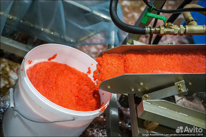 Готовый бизнес без вложений i-1067