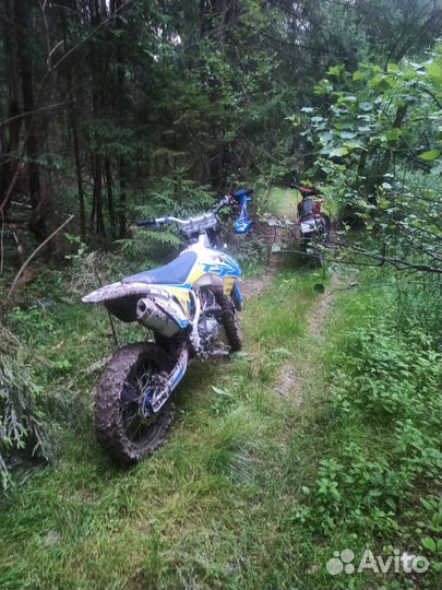 Motoland tt250