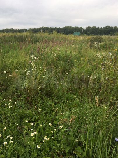 Участок 30 сот. (ИЖС)