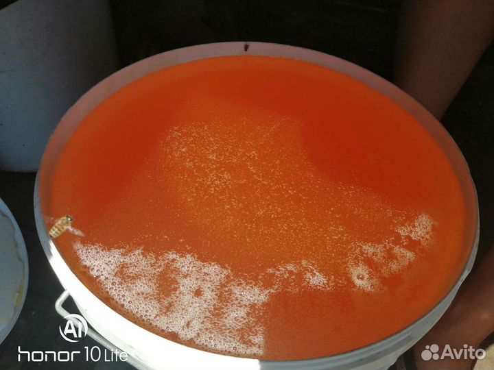 Мед подсолнечный