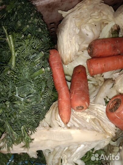 Корма для животных