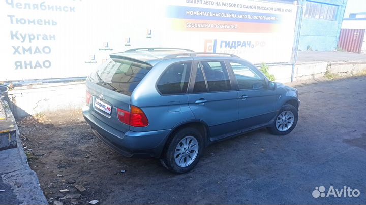 Уплотнитель двери задней правой BMW X5 (E53) 51347