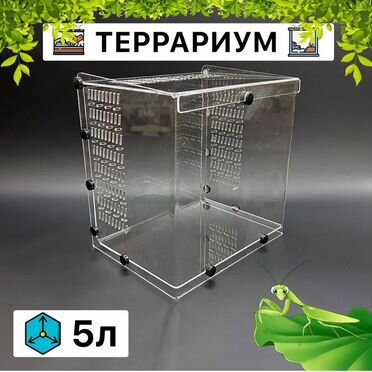 Террариум 5л с крышкой для богомолов