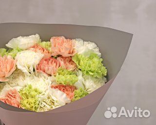 Букет из 25 диантусов (гвоздик) нежный микс