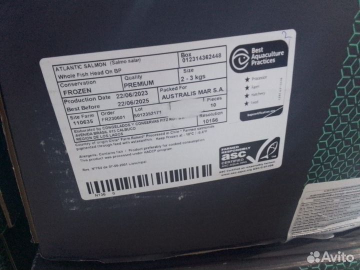 Семга лосось