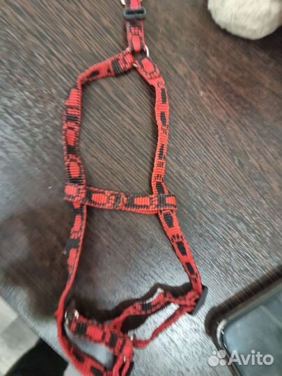 Шлейка и ошейник для собаки маленьких пород шпиц