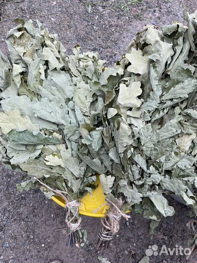 Дубовые веники для бани