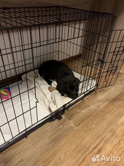 Клетка вольер