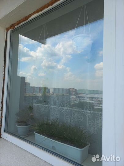 Окна пластиковые и дверь