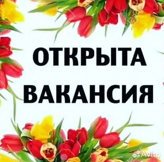 Разнорабочий без опыта