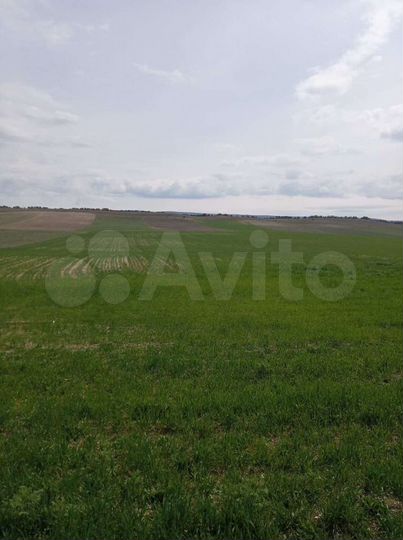 Участок 2,07 га (СНТ, ДНП)